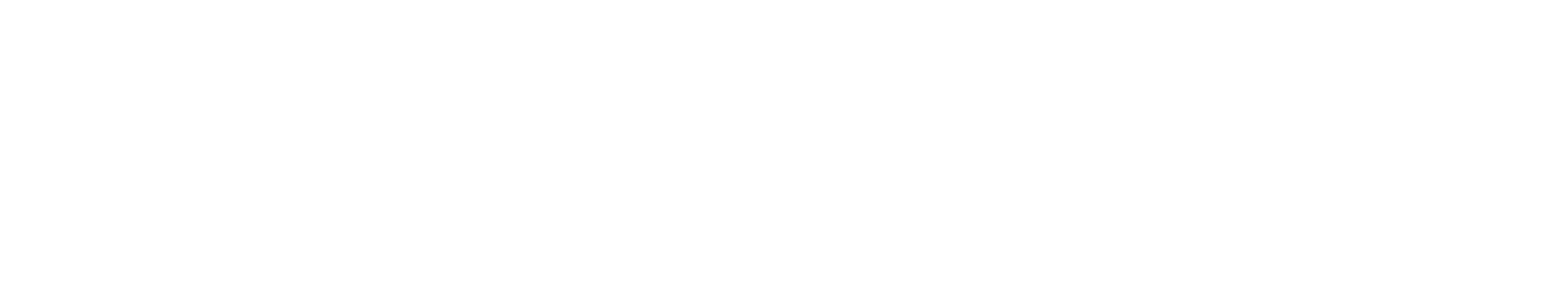 Horadev Logo Branco